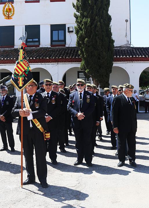 Homenaje a los Veteranos  (59).jpg